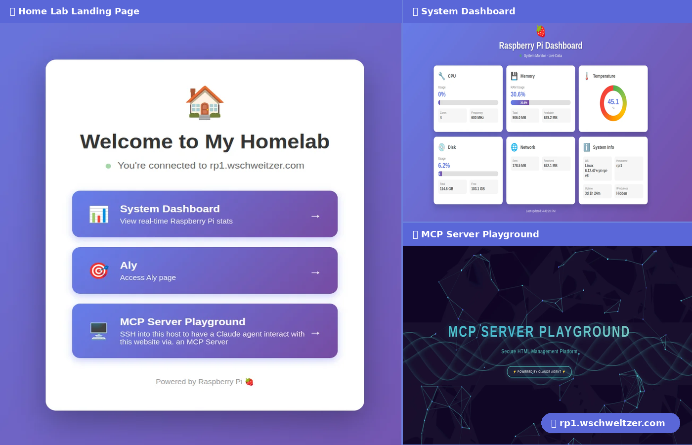 Home Lab Raspberry Pi Server preview